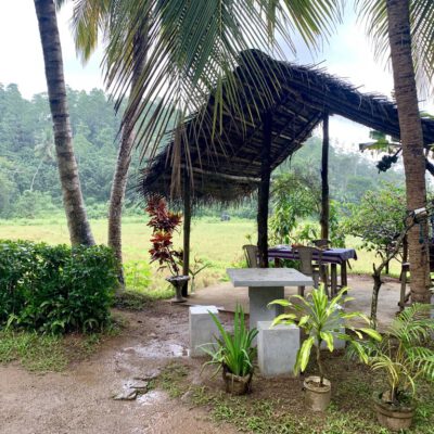 Adventures in Sri Lanka 1